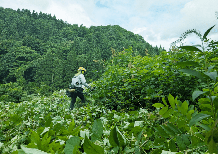 草刈りのイメージ