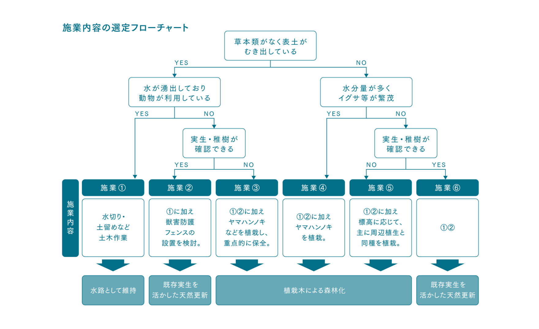 計画の全体像のイメージ