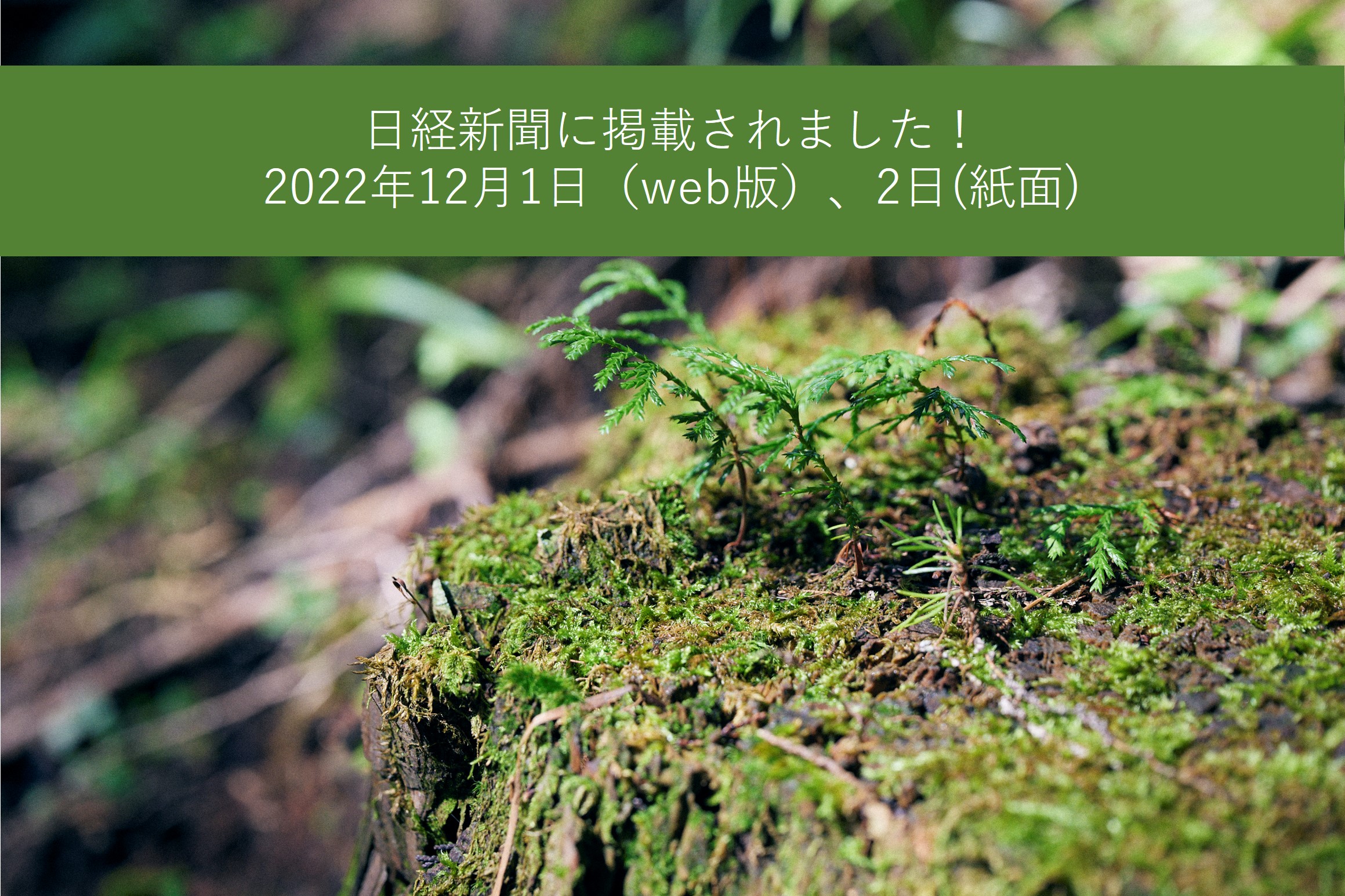 日本経済新聞に掲載されました【2022/12/02】