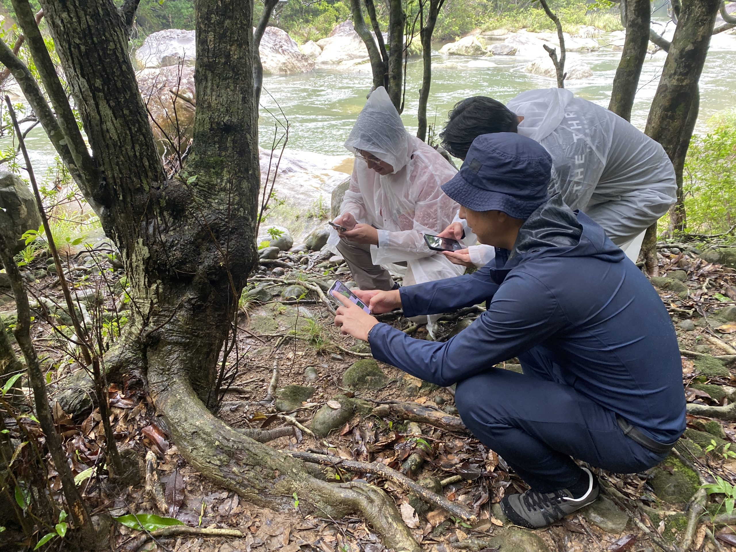 植林・育林専門ベンチャーのGREEN FORESTERSがKDDIの支援を受け、自然資本・生物多様性に配慮した森づくりを実施