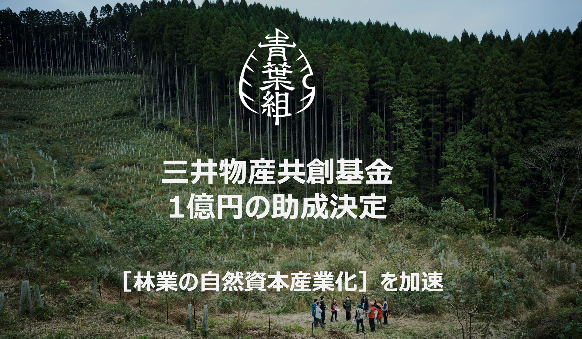 GREEN FORESTERSが三井物産共創基金の助成案件に採択、「自然資本共創プログラム」を5社限定で募集開始します。