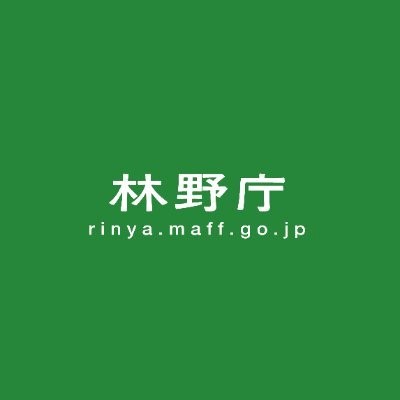 令和6年森林・林業白書に当社事例が紹介されました。